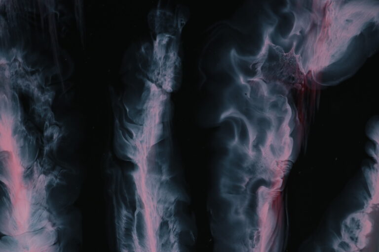 Cztery flamingi w delcie Rodanu