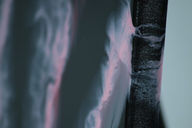 Cztery flamingi w delcie Rodanu